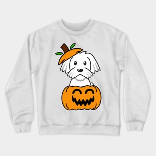 Funny white dog is in a pumpkin Crewneck Sweatshirt